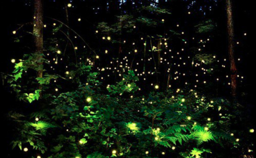 Adrift 的意境想象